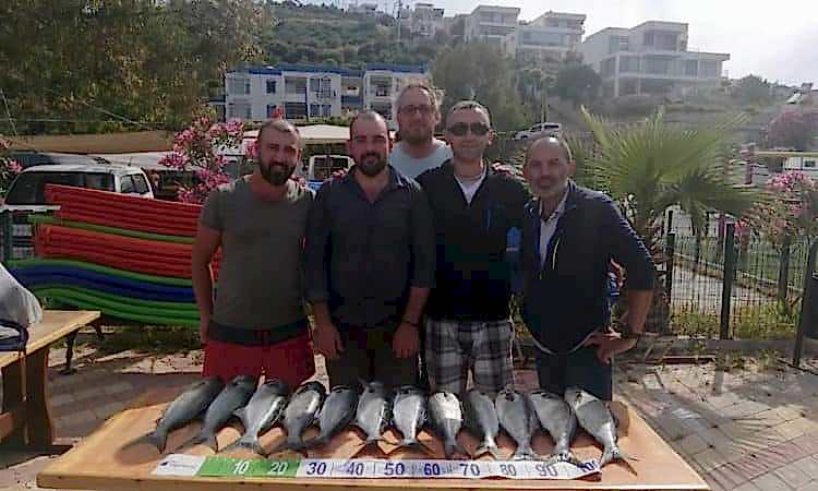 61214232_432594154224369_4456385820684713984_n-750x450