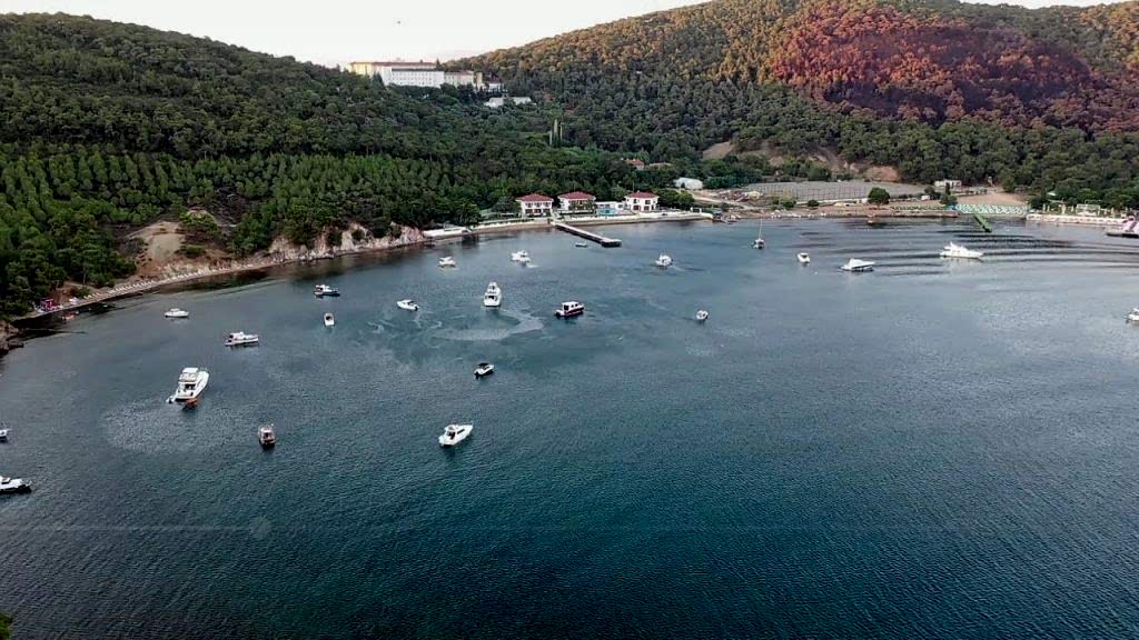 maxresdefault (1) maxresdefault (1)