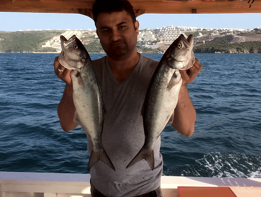 257-201953013422854b 257-201953013422854b