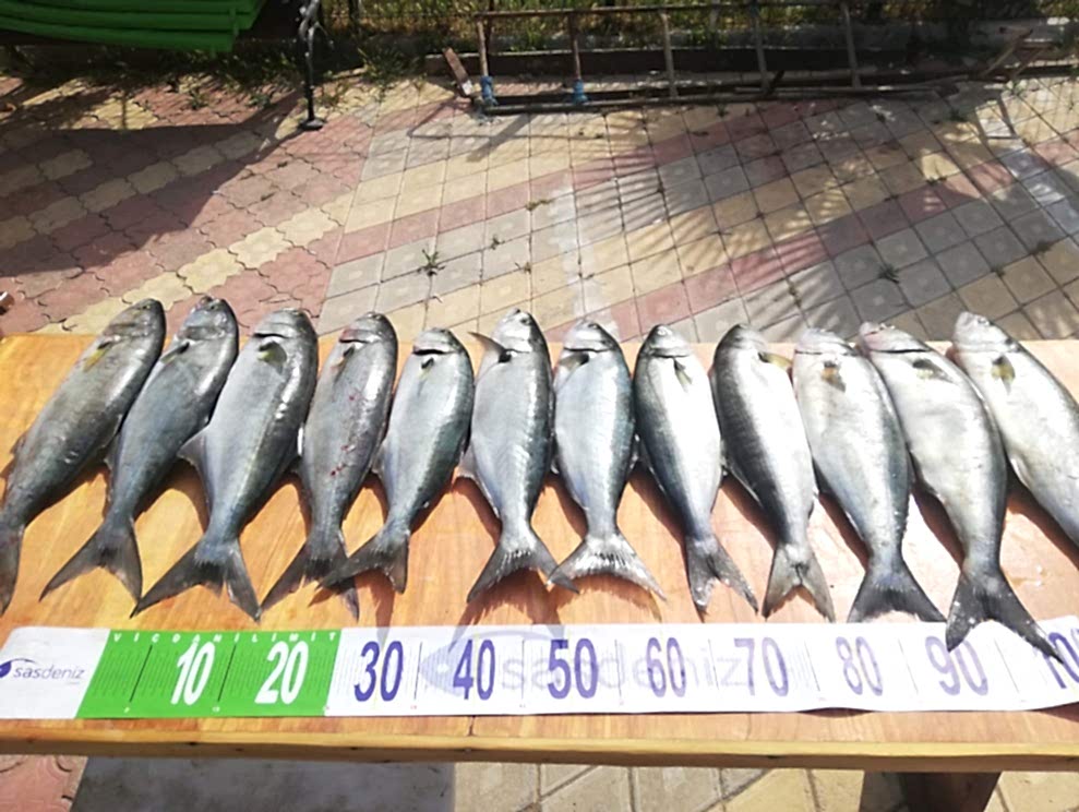 257-201953093016701b 257-201953093016701b