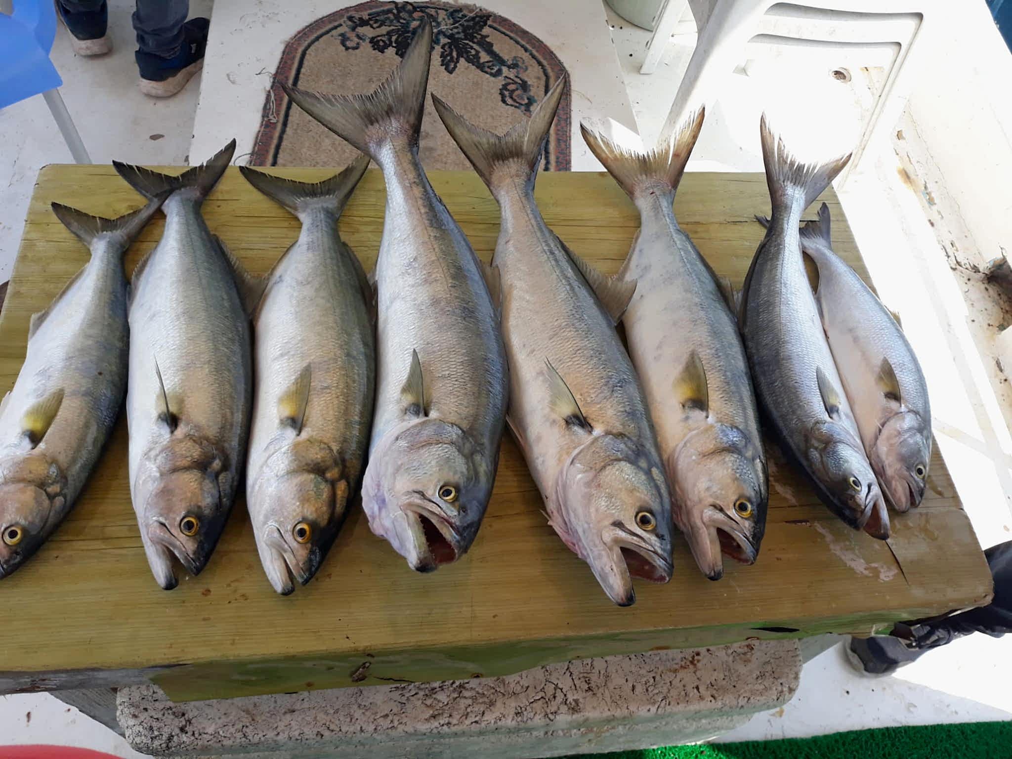 cdc624a7-e4a5-4673-be53-d4f94cac80fd cdc624a7-e4a5-4673-be53-d4f94cac80fd