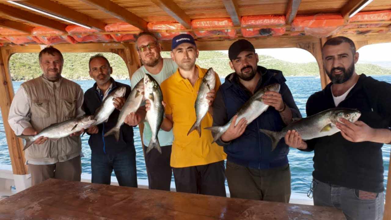 maxresdefault maxresdefault